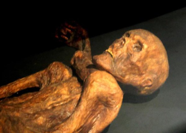 otzi 1